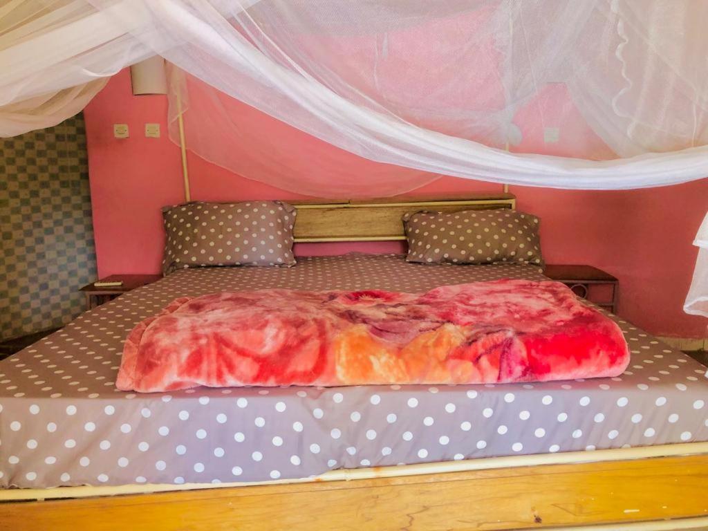 Hotel Toolbi Niaga Luaran gambar
